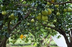麻豆传媒印画公司地址揭秘：完整了解其位置和联系方式