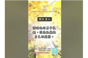 男版抖阴：新潮男性生活分享平台，探寻无与伦比魅力与精彩瞬间