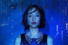 探秘抖阴：如何安全高效分享你的生活点滴