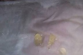 果冻精东麻豆天美传媒：探索最新娱乐动态与影视资源分享