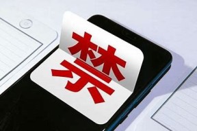 评测麻豆传媒APP：功能彻底，使用体验如何？