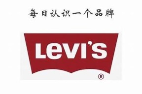 抖阴Levi：揭秘最受欢迎的新兴社交平台特色与玩法